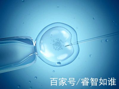 安孕冻胚移植专科
